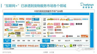 中國互聯網寵物服務市場專題研究報告（2015簡版） 互聯網信息服務的融合與創新